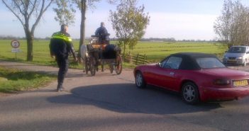 Paard trekt auto uit de berm na onwelwording in Langerak