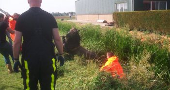 Brandweer Heerjansdam redt twee paarden uit de sloot