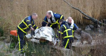 Man en hond te water in rivier bij Zwijndrecht