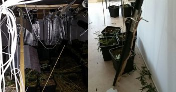 Geruimde hennepkwekerij aangetroffen in centrum Dordrecht