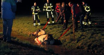 Paard en wagen raken te water in Oud-Alblas
