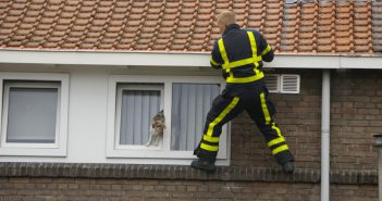 Brandweer bevrijdt kat uit benarde positie in Dordrecht