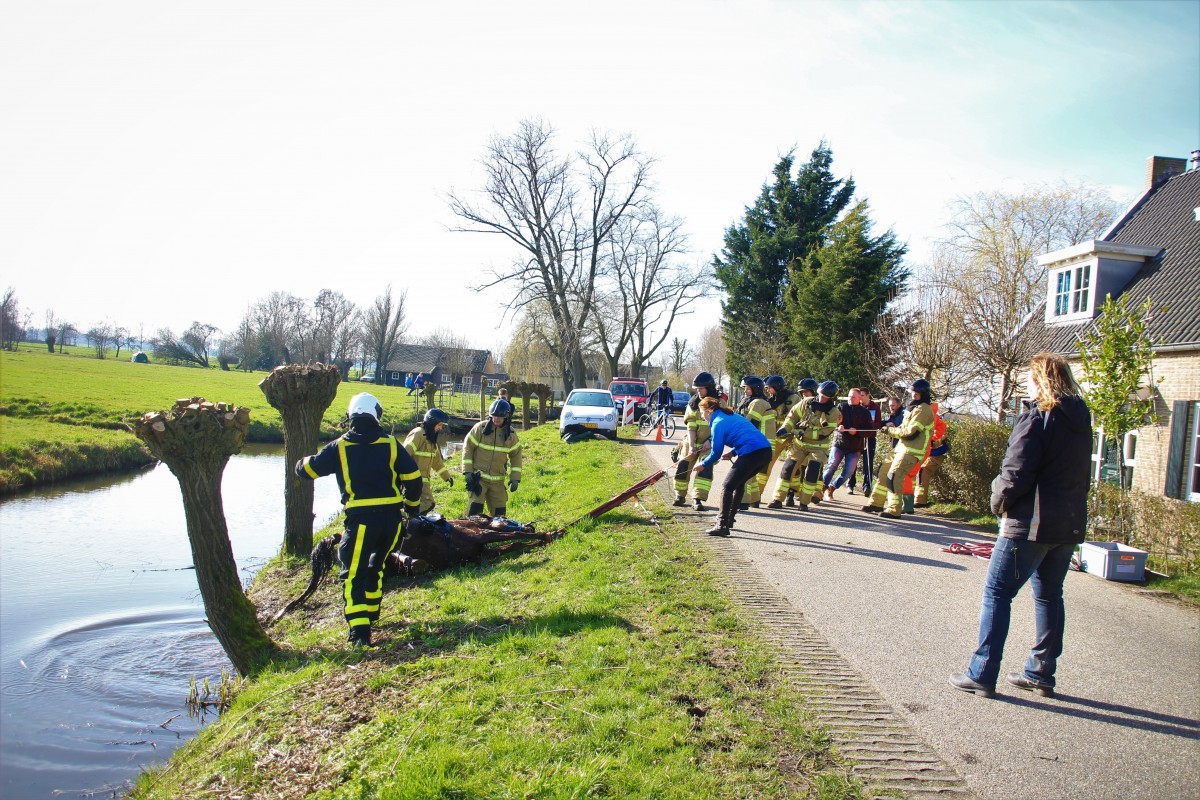 Brandweer redt paard uit sloot in Arkel - ZHZActueel