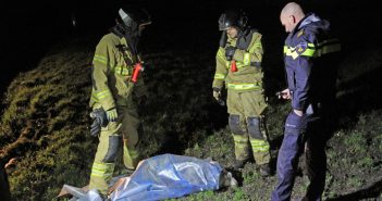 Hond valt schapen aan bij Kinderdijk; één dood en drie gewond (update)