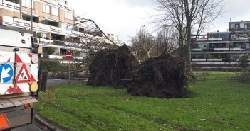 Huizen ontruimd na omvallen bomen in Dordrecht