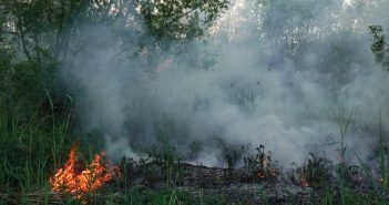 Brandweer blust buitenbrand in Hardinxveld-Giessendam