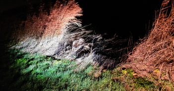 Hulpdiensten op pad voor brandend riet langs Buitenpad in Alblasserdam