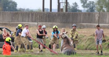 Brandweer helpt paard het water uit in Hardinxveld