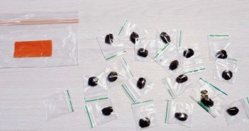 Jonge drugsdealer (15) aangehouden op school in Dordrecht