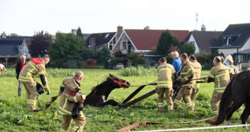 Lastige klus voor brandweer Alblasserdam; paard te water langs Buitenpad