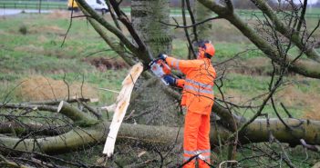 Brandweer verwijdert omgevallen boom langs de N214 bij Molenaarsgraaf