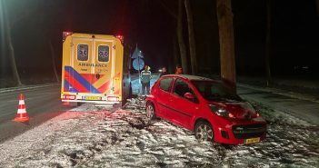 Automobilist uit Papendrecht botst tegen boom langs N216 bij Ottoland