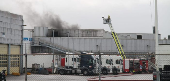 Grote brand bij bedrijf in Moerdijk; brandweer Dordrecht assisteert