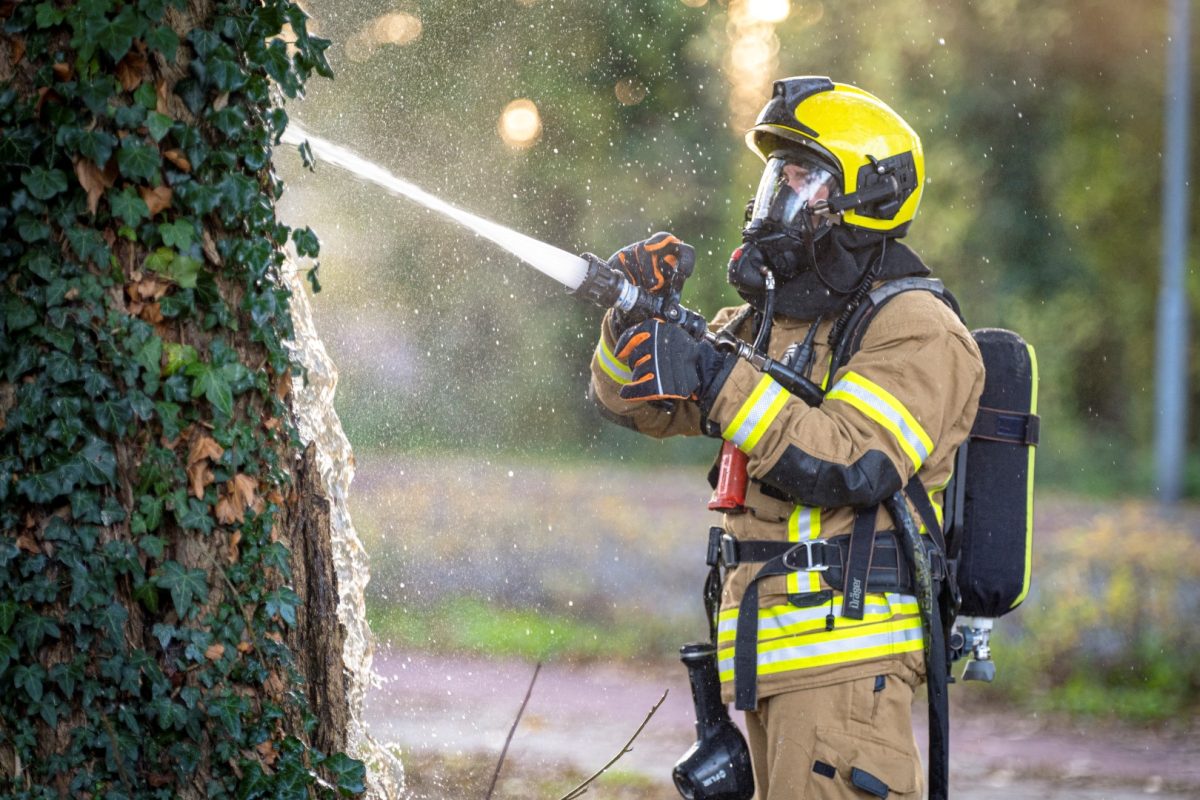 Boom in brand na vuurwerk in holte; brandweer Alblasserdam en buurtbewoonster blussen