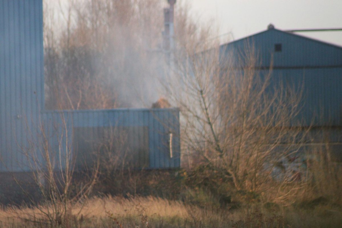 Weer brand in Merconloods in Alblasserdam