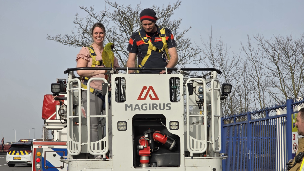 Soldatenara Nala uit 20 meter hoge boom gered door brandweer