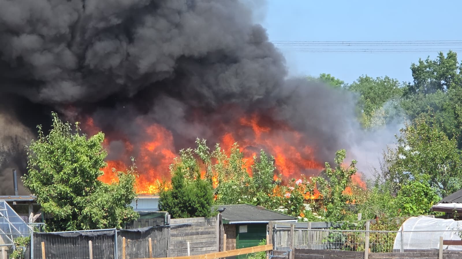 Grote brand uitgebroken in Dordrecht; paarden worden geëvacueerd