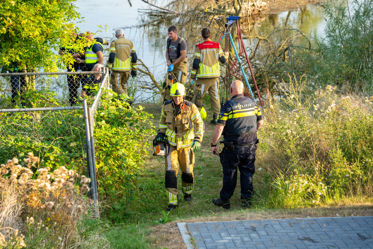Man ligt uren bekneld onder boom langs Waaldijk in Vuren